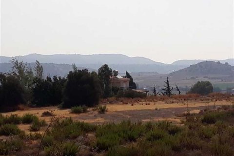 14138m² Land in Monagroulli, Cyprus No. 76329 4