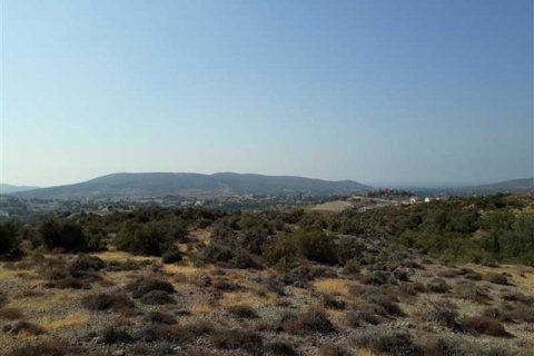 14138m² Land in Monagroulli, Cyprus No. 76329 2