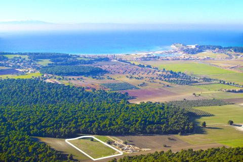 16000m² Land in Chalkidiki, Greece No. 59935 1