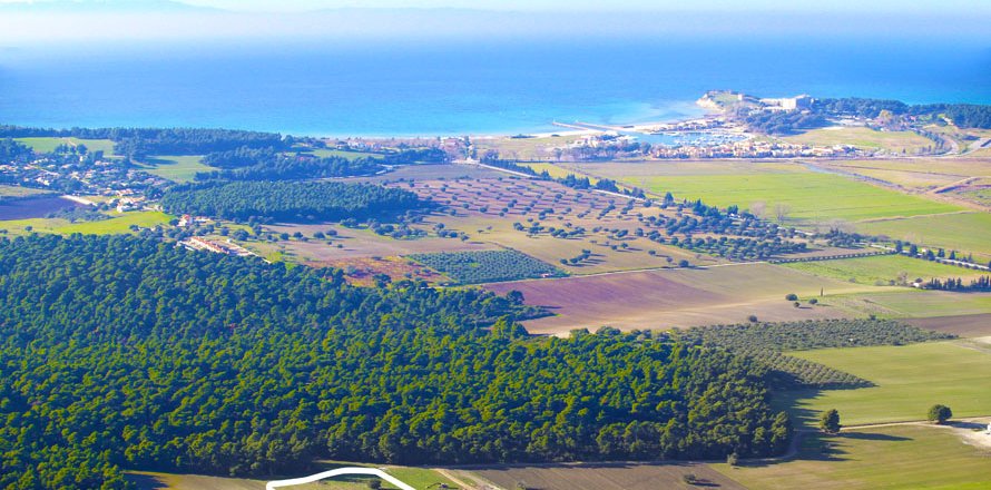 16000m² Land in Chalkidiki, Greece No. 59935