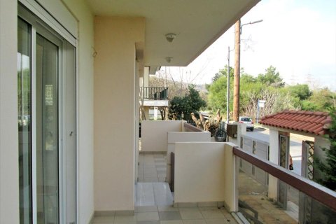 1600m² Business in Chalkidiki, Greece No. 59922 8