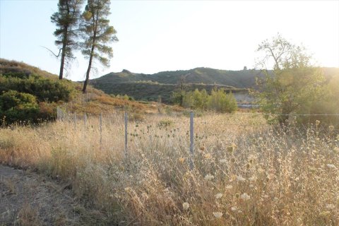 12000m² Land in Chalkidiki, Greece No. 58599 4