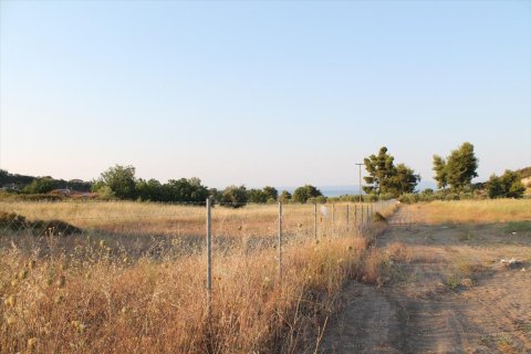 12000m² Land en Chalkidiki, Greece No. 58599 5