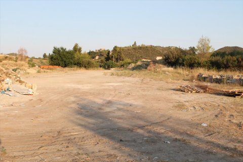 12000m² Land in Chalkidiki, Greece No. 58599 8