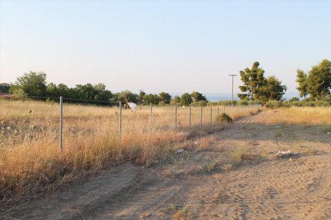 12000m² Land in Chalkidiki, Greece No. 58599 2