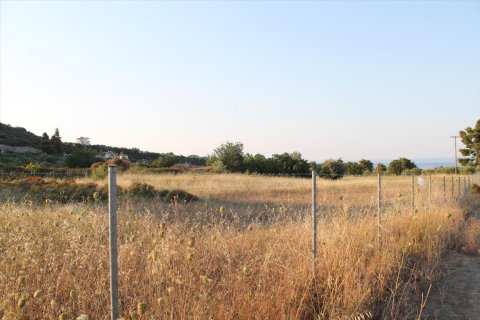 12000m² Land en Chalkidiki, Greece No. 58599 6