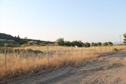 12000m² Land in Chalkidiki, Greece No. 58599 3