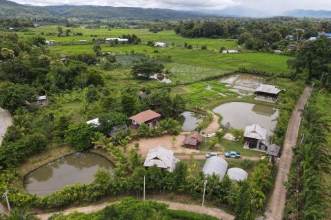 5 bedrooms House in Chiang Mai, Thailand No. 1606 1