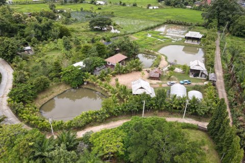 5 dormitorios House en Chiang Mai, Thailand No. 1606 3