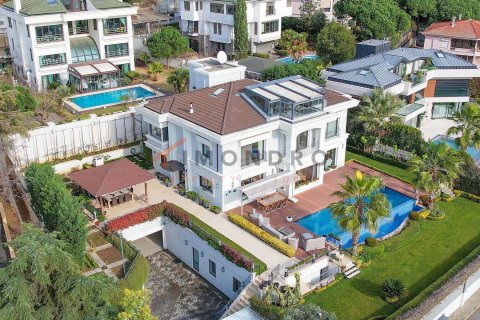 6+1 Villa en Kartal, Turkey No. 17105 1