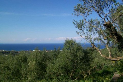 Land in Zakynthos, Greece No. 24649 13