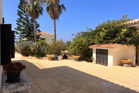 3 dormitorios Villa en Pegeia, Cyprus No. 53251 9