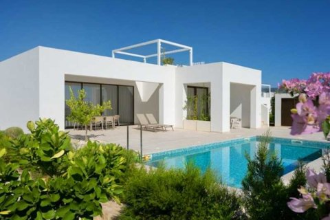 3 bedrooms Villa in Pegeia, Cyprus No. 66123 1