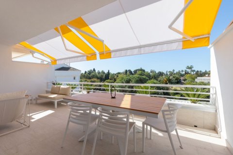 4 chambres Penthouse à Cortes (San Pedro De Alcantara), Spain No. 27568 23