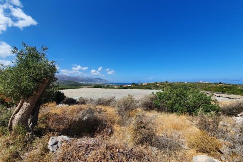 9000m² Land in Lasithi, Greece No. 56935 4