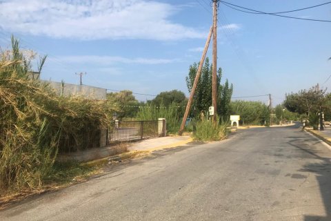 2500m² Land in Gazi, Greece No. 56939 2