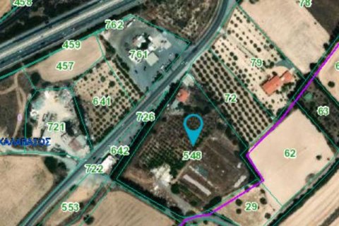 15060m² Land in Kalavasos, Cyprus No. 76367 2