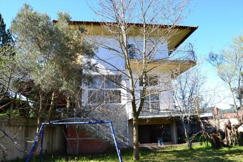 240m² Negocio en Chalkidiki, Greece No. 59775 5