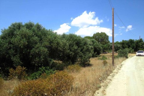 7125m² Land à Chalkidiki, Greece No. 59613 6