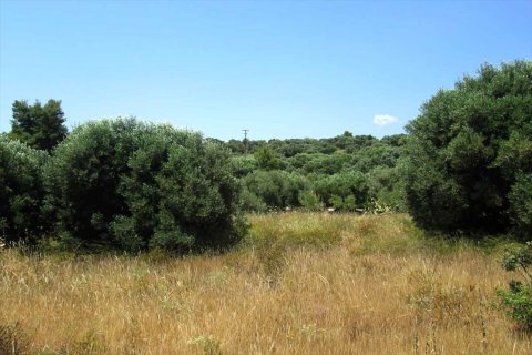 7125m² Land à Chalkidiki, Greece No. 59613 7