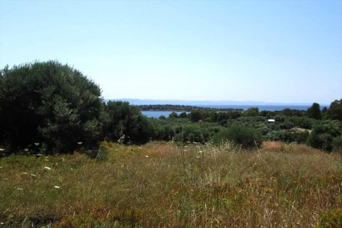 7125m² Land à Chalkidiki, Greece No. 59613 1