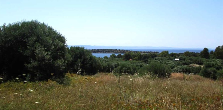 7125m² Land à Chalkidiki, Greece No. 59613