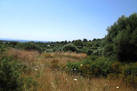 7125m² Land in Chalkidiki, Greece No. 59613 5