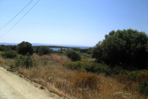 7125m² Land à Chalkidiki, Greece No. 59613 4