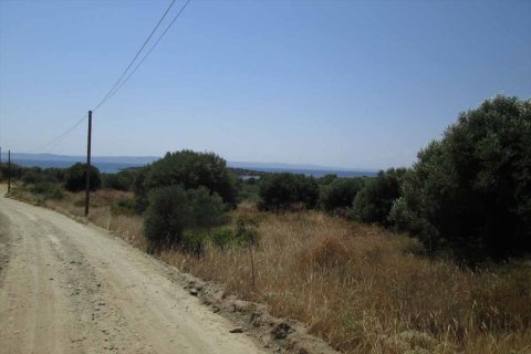 7125m² Land à Chalkidiki, Greece No. 59613 2