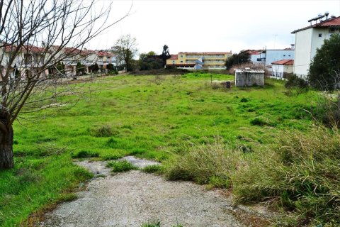 5300m² Land en Chalkidiki, Greece No. 59776 2