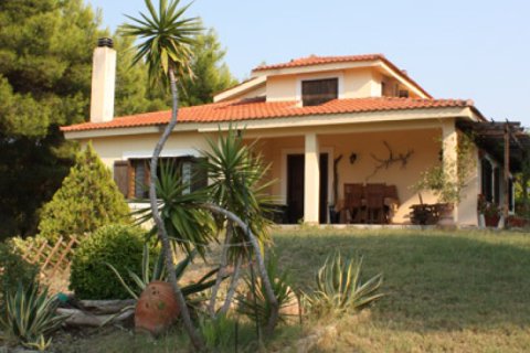 1 bedroom Villa in Chalkidiki, Greece No. 48860 11