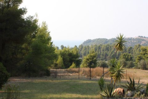 1 bedroom Villa in Chalkidiki, Greece No. 48860 13