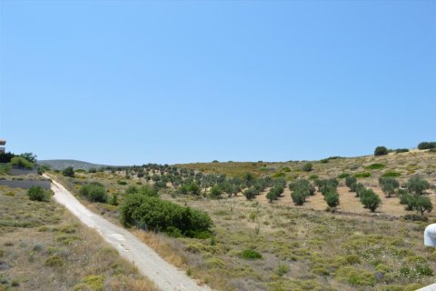 3 chambres House à Kalyvia Thorikou, Greece No. 58659 9