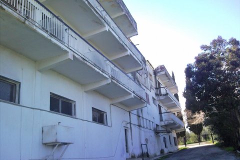 1603m² Hotel à Kolindros, Greece No. 58495 6