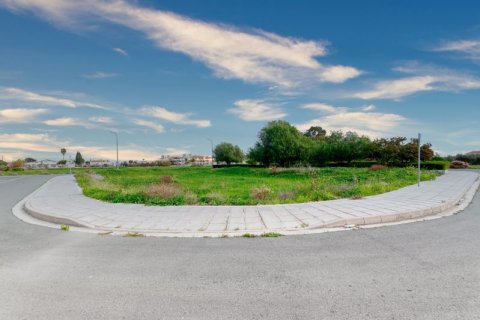 7086m² Land à Kiti, Cyprus No. 64841 7