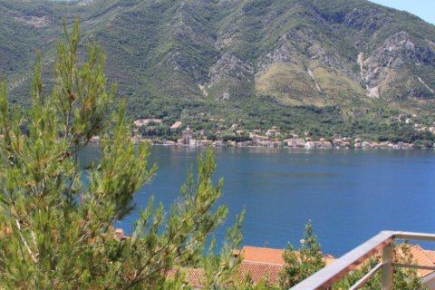 2 dormitorios Apartment en Kotor, Montenegro No. 66844 11