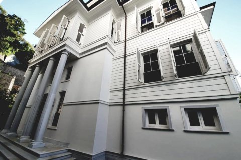 16+4 Villa à Istanbul, Turkey No. 15046 2