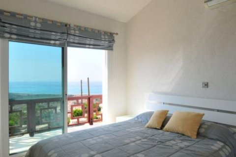 Apartamento tipo estudio Estudio en Paphos, Cyprus No. 49873 7