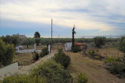 3 chambres House à Polygyros, Greece No. 57678 6