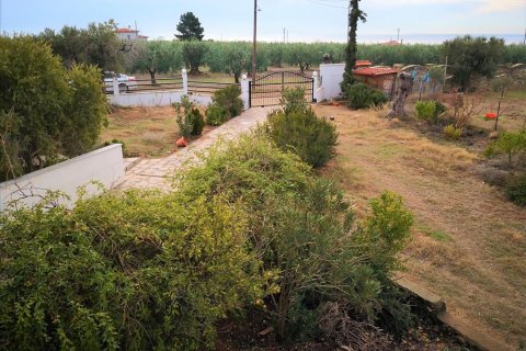 3 chambres House à Polygyros, Greece No. 57678 25