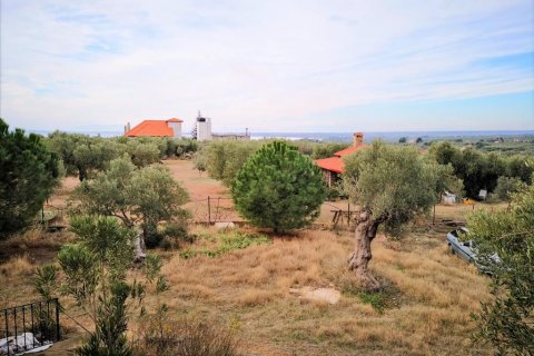 3 chambres House à Polygyros, Greece No. 57678 24