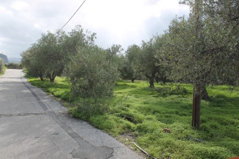 2456m² Land in Lasithi, Greece No. 57679 2