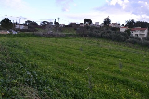 4193m² Land in Gazi, Greece No. 57682 3