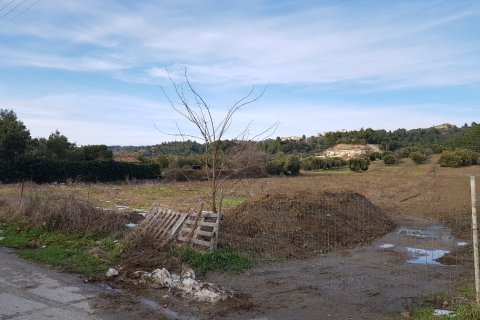 4500m² Land à Chalkidiki, Greece No. 57681 3