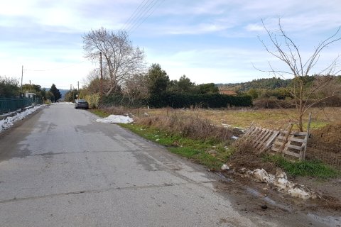 4500m² Land à Chalkidiki, Greece No. 57681 4