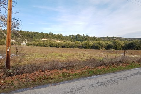 4500m² Land à Chalkidiki, Greece No. 57681 1