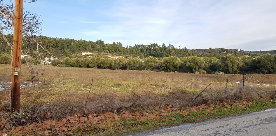 4500m² Land in Chalkidiki, Greece No. 57681