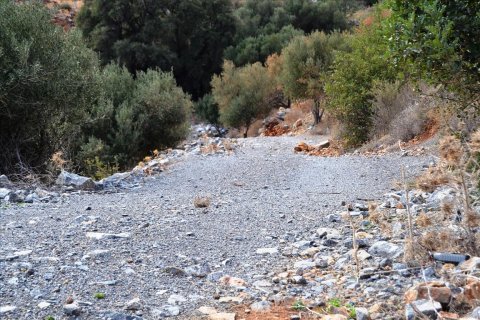 13200m² Land in Agios Nikolaos, Greece No. 58969 5