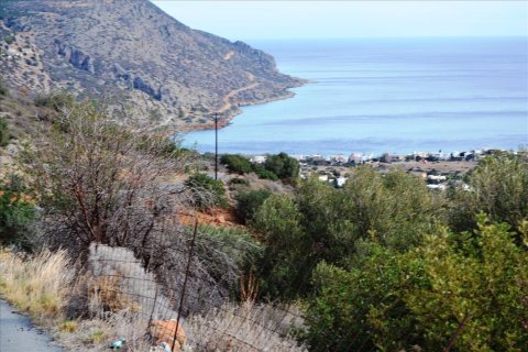 13200m² Land à Agios Nikolaos, Greece No. 58969 4