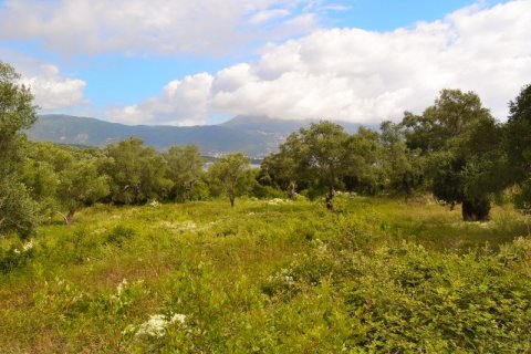 5500m² Land en Corfu, Greece No. 59153 3